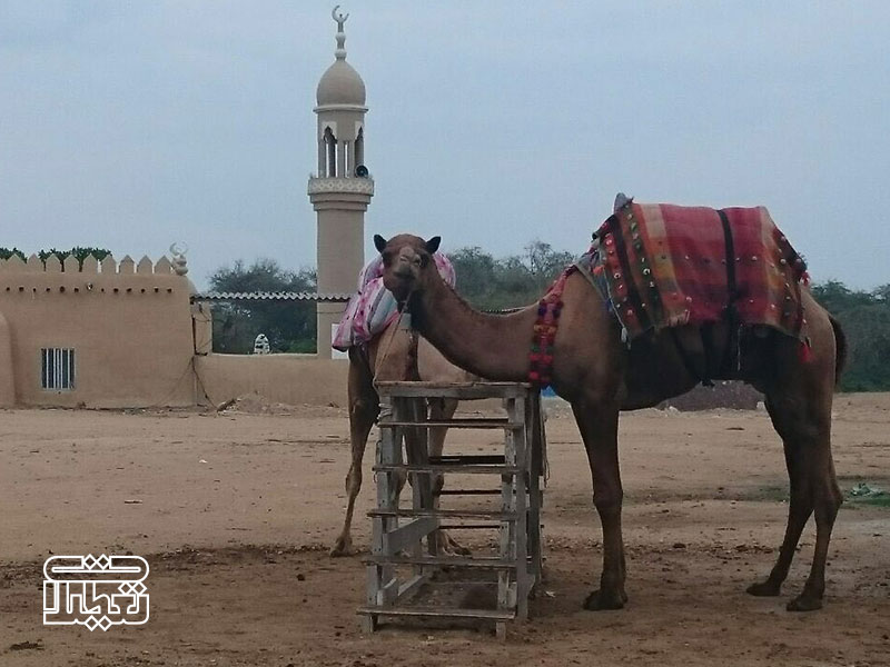 جاذبه های گردشگری کیش : روستای کهن باغو